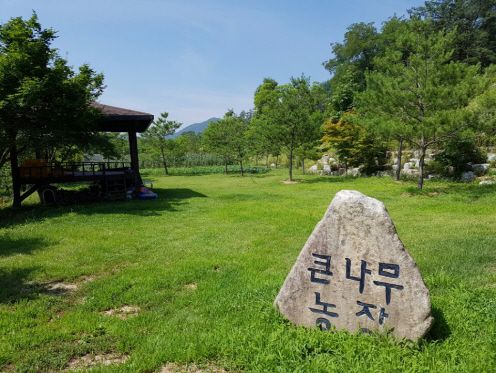 큰나무농장